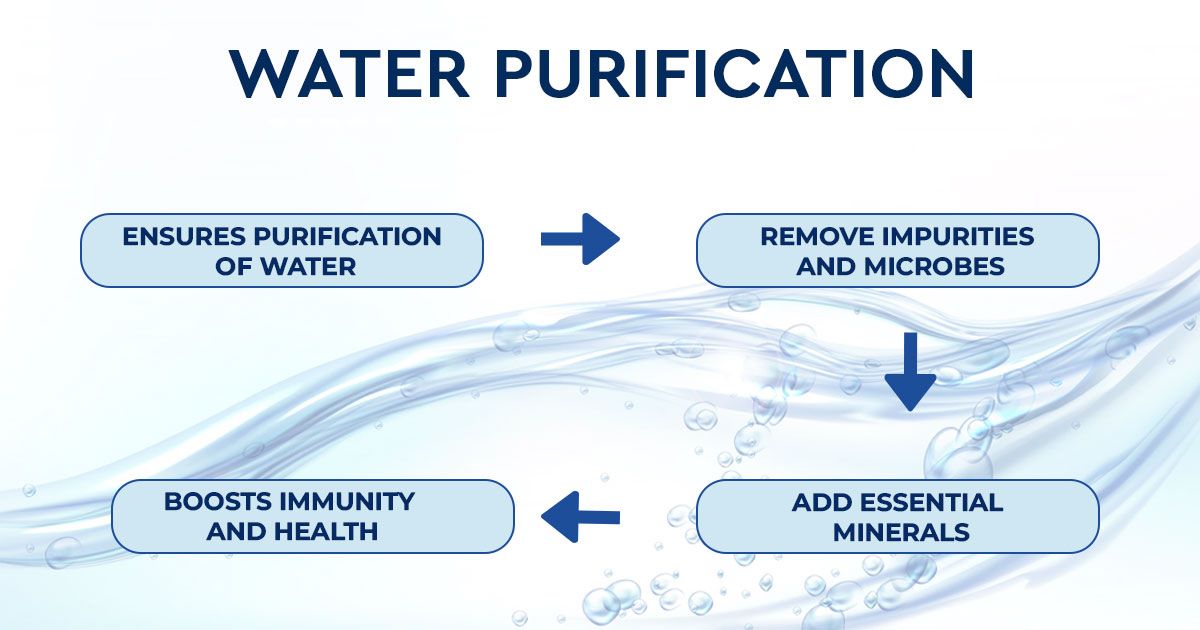 Stages-of-purification-process