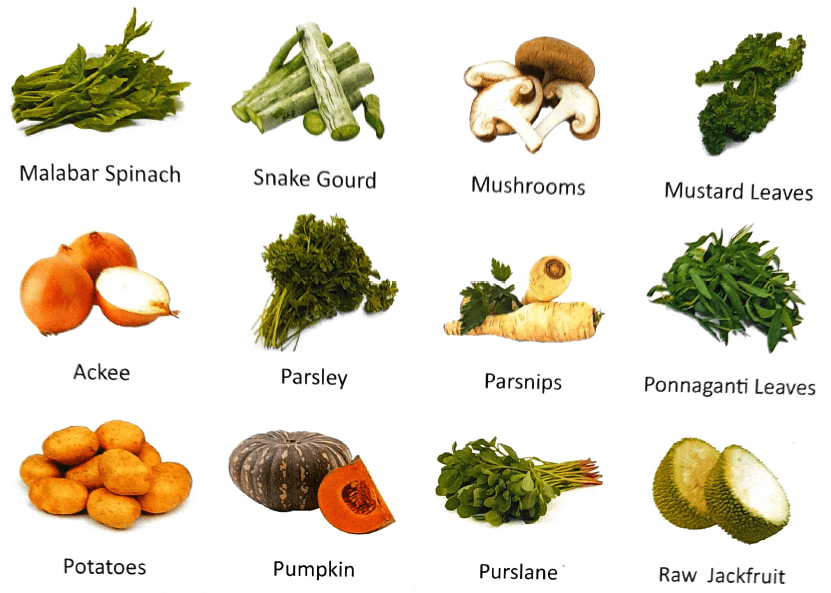 alkaline infused vegetables