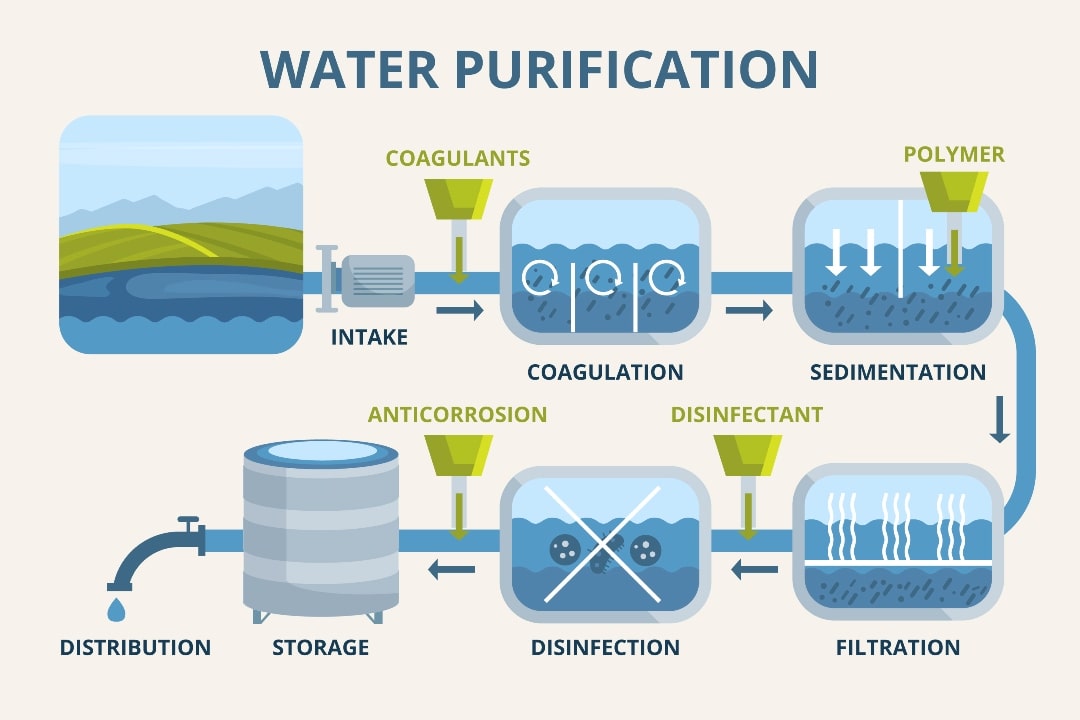 Stages-of-purification-process