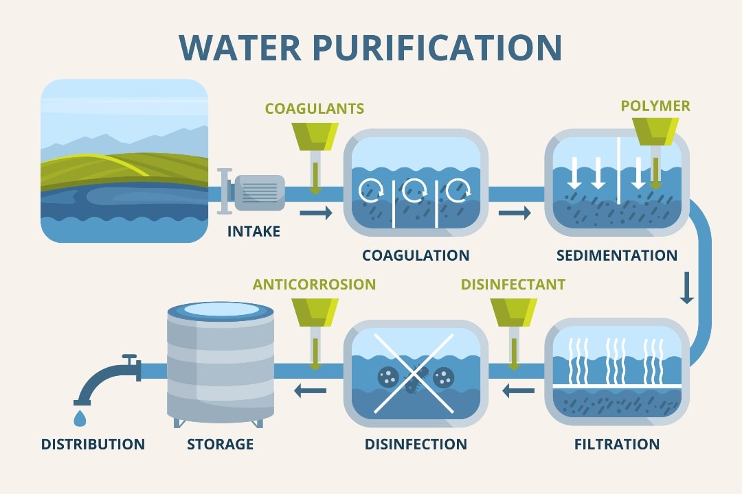 Stages Of Purification Process