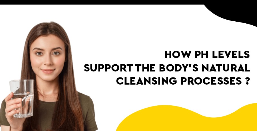 ph-level-cleaning-process-in-the-body
