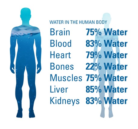 water-composition-of-our-bodies