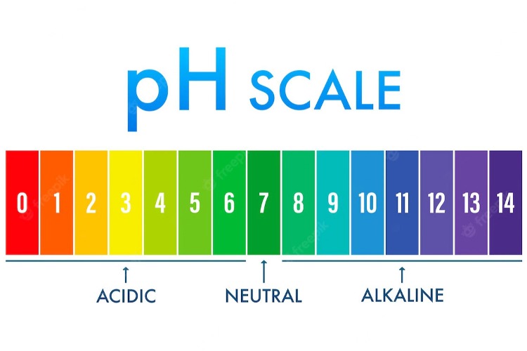 Why Is The pH Of Water Important?