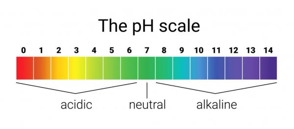 the PH scale